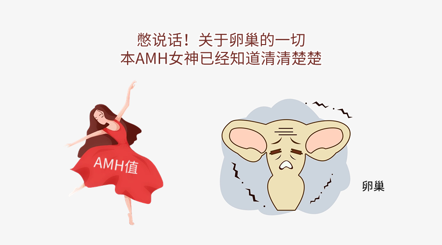 漫畫解讀AMH （抗缪勒管激素）——這下徹底記住了！